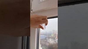 Смешные моменты Мики Пики.