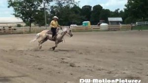 David Dorland Riding Double Jac Dunnit 2014