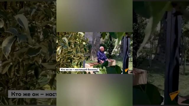 Всемирный день бакинцев.