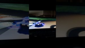 1000008561.mp4