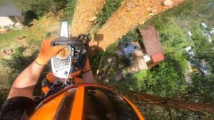 Арбористика‼️НОВИНКА-Husqvarna T540XP Mark III🔥первый взгляд на пилу. Первое впечатление о пиле🤔