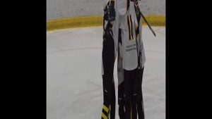 Богородский - Драгуны 🏒