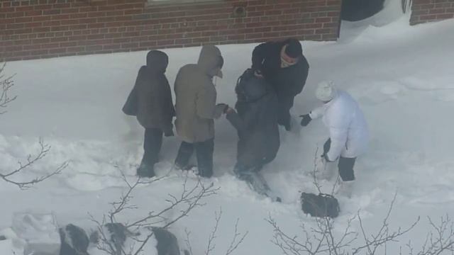 Сказка о Репке смотреть онлайн