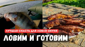 Лучшая снасть для ловли окуня. Ловим и готовим рыбу.