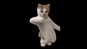 КОТЫ МЕМЫ