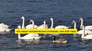 Про циклы развития Души: движение вверх, вниз и ЦЕЛЬ всего этого