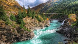 Наслаждение звуками природы_ Нежное журчание ручья. Видео для сна. Slip video. Включи звуки природы