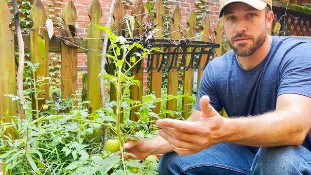 Urban Survival смотреть онлайн