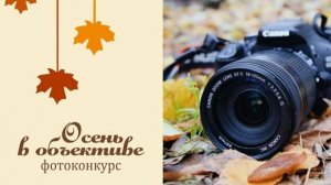 Фотоконкурс "Осень в объективе"