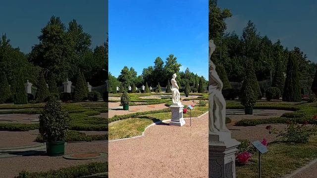 Релаксация пятничного вечера, парк Ораниенбаум #релаксация  #петербург #парк #ораниенбаум
