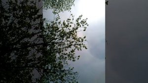 Москвич 2140 звук мотора