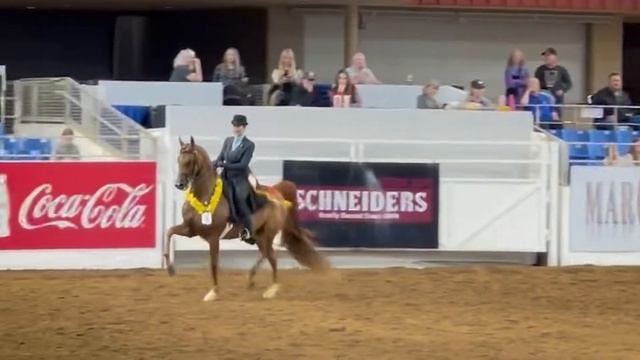 2022 US National Contender BESS WISHES смотреть онлайн