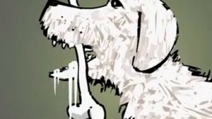 Опыт Павлова