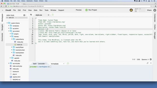 WordPress Theme Development Part 10