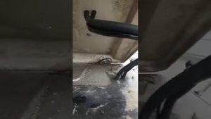 Монтаж МТЗ-1221 Шланги в стойках