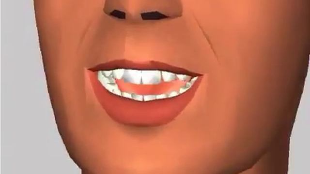 System 44 Sound and Articulation: short a смотреть онлайн