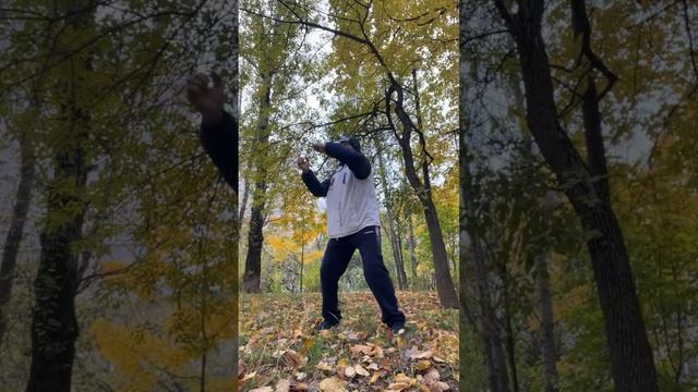 Лучшие моменты трансляции "Ицюань онлайн /  Ченбао Чжуан / Няо Нань Фей / Цюаньфа - отработка ударов