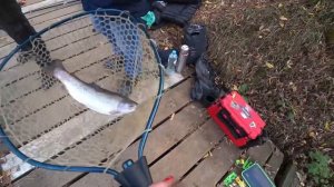 Трудовая рыбалка. Красногорск