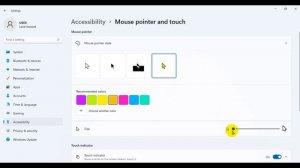 #35 How to Change Your Mouse Cursor in Windows 11 [Tutorial]