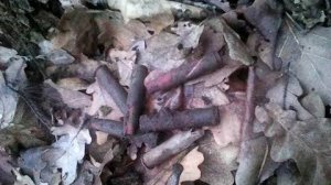 Коп металлоискателем Пират - Монеты СССР и Эхо Войны