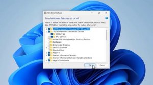 How To Fix Installing .NET Framework 3.5 Failed Error Code 0x800F0954 on Windows 11
