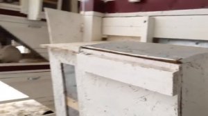 Разведение кроликов в домашних условиях