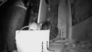 VSTG122549CFRDK_20221218041946