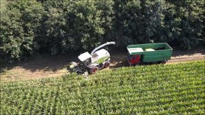 Claas Jaguar 900 Greeneye Houtackers V.O.F.