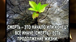 Заново рождённые. Начало через смерть грешной плоти и Рождение Свыше. Учение Иисуса Христа.