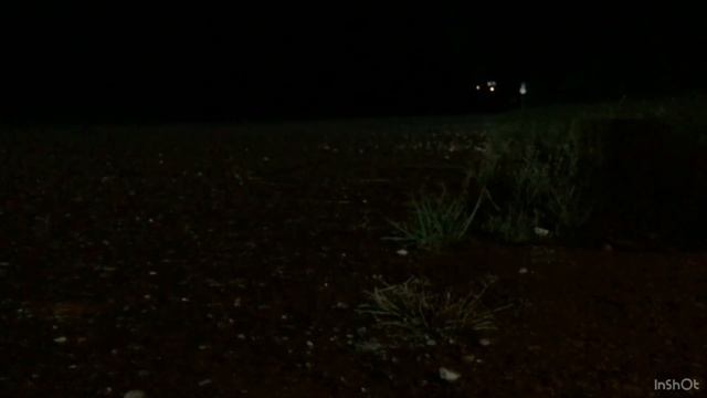 Tesla Model Y - non Dynamic Brake Lights test смотреть онлайн