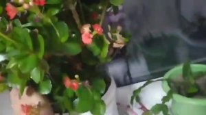 Купили комод для пряжи // Смешная доставка до дома //