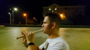 Властелин Колец на флейте! Lord of Rings!