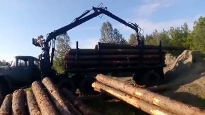 Погрузка леса(6м) ЗИЛ 131