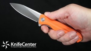 Petrified Fish PF818 Forward Flipper Knife