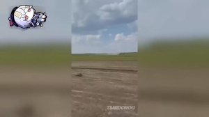 РЖАКА  ДО СЛЕЗ  😂 30 Минут смеха 2024 Смешные видео Лучшие Лютые ПРИКОЛЫ #38