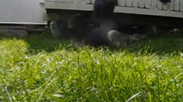 vida kryp 1607 смотреть онлайн