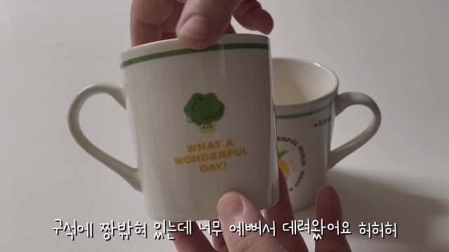 다이소 추천템을 털어왔어요.써보고 추천하는 유용한 꿀템 이건 꼭 사야해(sub)