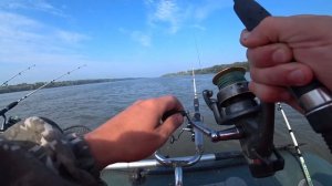 Клёв язей . Сазан словно паровоз. Рыбалка в Камне на Оби.