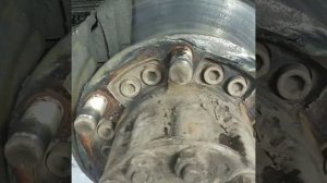 Диски на газоне некст