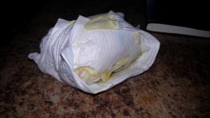 Diaper For A Day