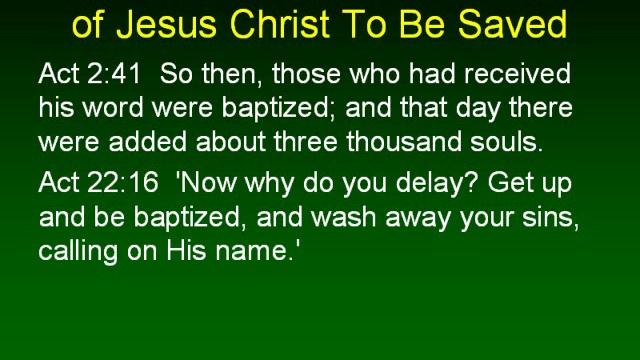 Why Am I A Member of The Church of Christ? 1 смотреть онлайн