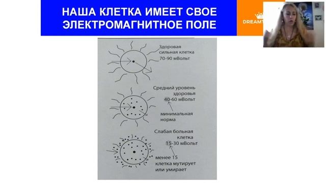 Cкалярная энергия сила природы для защиты здоровья Вебинар от 28