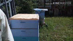 Готовимся к откачке мёда . Конец июня 2020г. Апилифт - помощник.