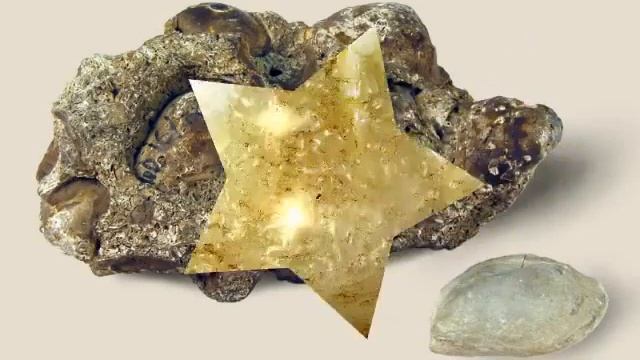 Kizoa Video Editor - Movie Maker: Facts about Ukraine смотреть онлайн