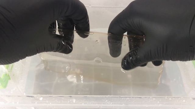 How to clean a phone case? смотреть онлайн