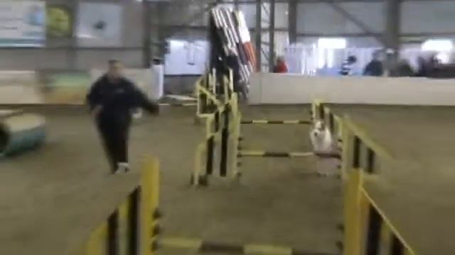 Chip at TraVal Mar 2010.wmv смотреть онлайн