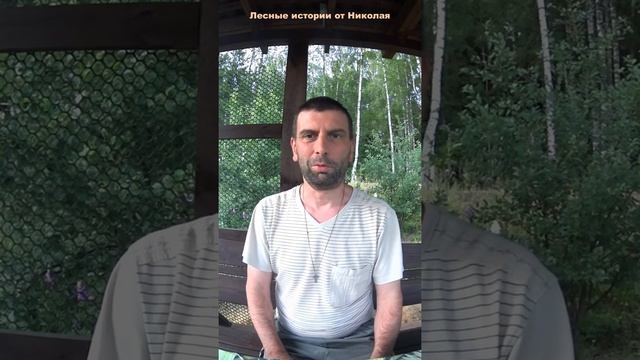 Я вернулся! Чем я занимался, и что будет дальше..