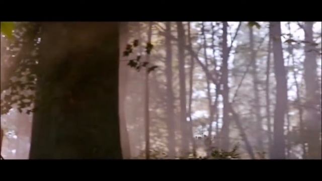 Blood & Iron In a Nutshell II смотреть онлайн