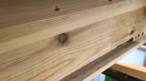 Колодное пчеловодство (часть 5) четыре месяца спустя.