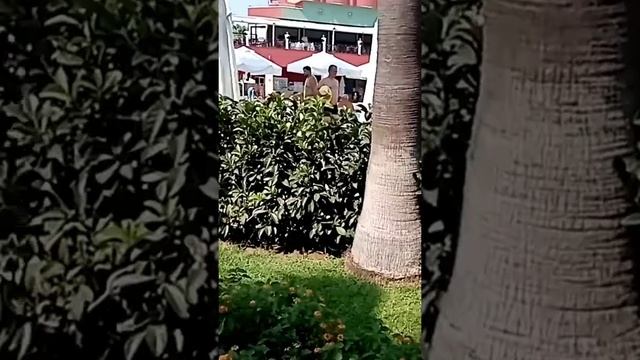 Delphin deluxe resort, Turker. 5 звёзд. Ультра все включено.